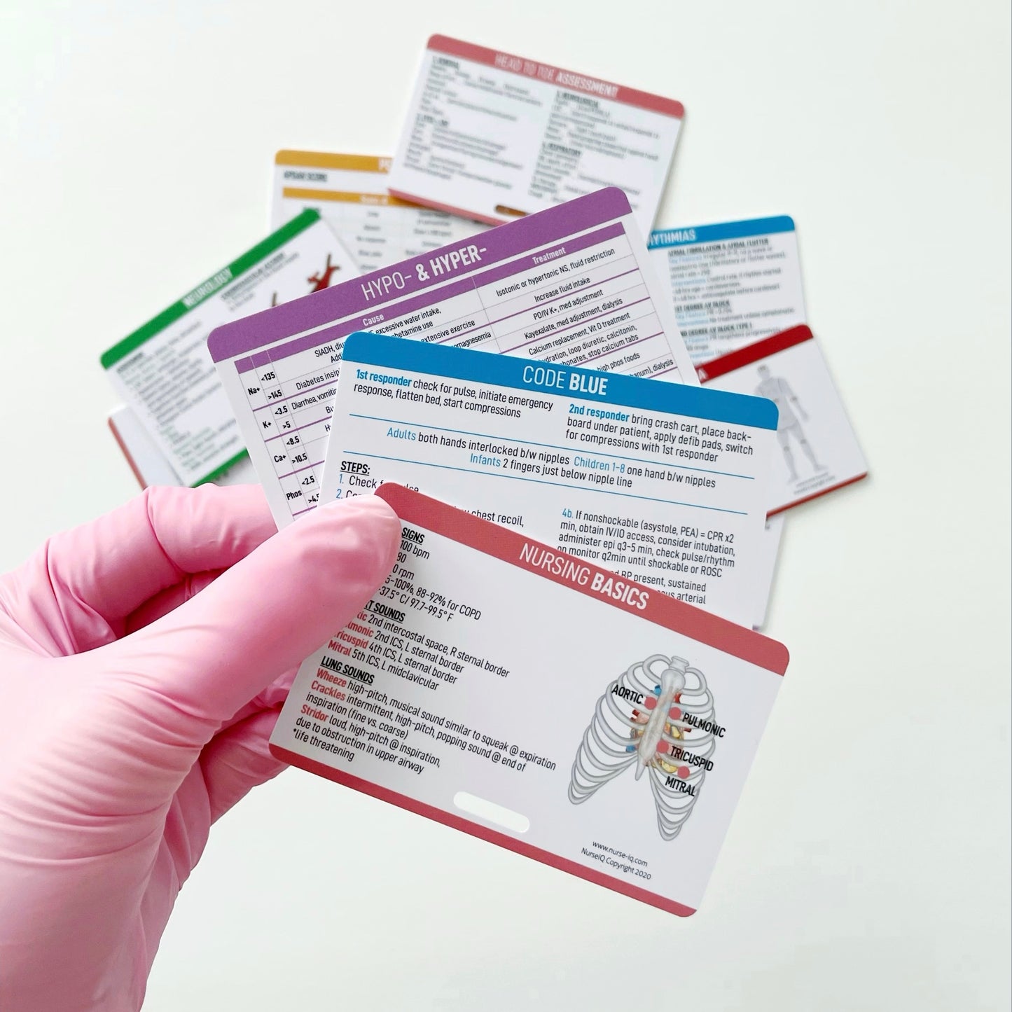 Head-to-toe Assessment Nursing Reference Card, Badge Card, Nursing
